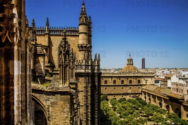 View of the cathedral with the orange courtyard from the Giralda, Seville, Seville, Andalusia,