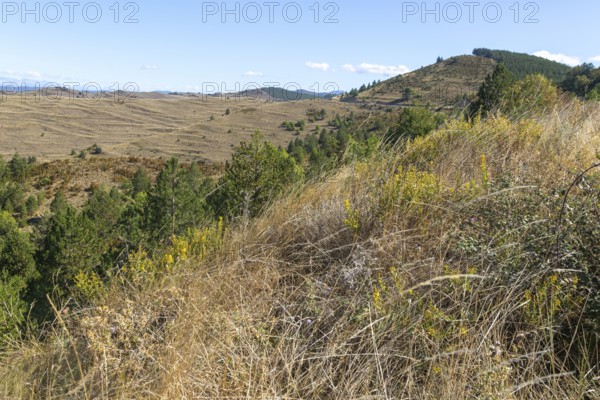 Countryside landscape view from Puerto de Sos hills south of Sos del Rey Catolico, Cinco Villas