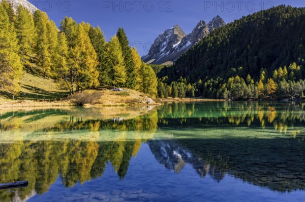 Mountain lake, reflection, mountains, larch forest, autumn discoloration, autumn, sunny, Lake