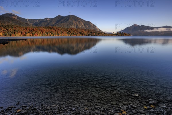 Mountain lake, reflection, morning light, mountains, shore, autumn, autumn color, Walchensee, Upper