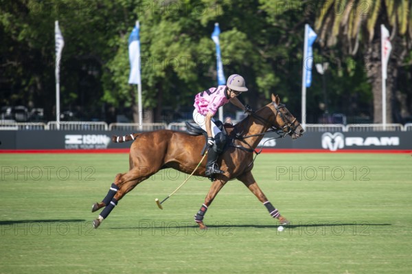 Scene at the 132nd Argentinean Open Polo Championship (Spanish Campeonato Argentino Abierto de
