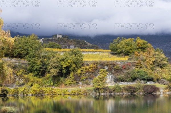 Terraced grape vineyards, steps up the hill in autumn colours in the Rhone Valley. Castle of Sierre