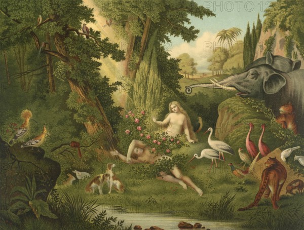 Biblical scene, Bible, The Creation of Eve, God created Eve from a rib of Adam after he let Adam