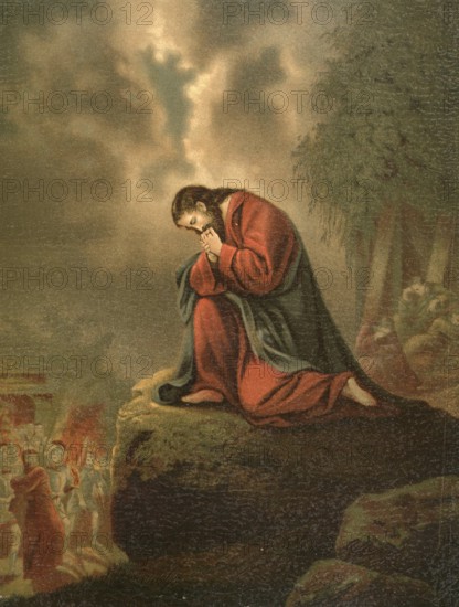 Biblical scene, Bible, Gethsemane, scene of the Passion story of Jesus on the western slope of the