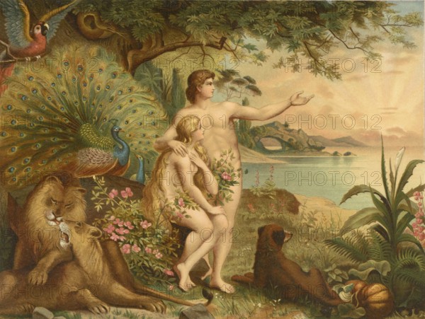 Biblical scene, Bible, Adam and Eve in paradise, illustration, reproduction from a 19th century