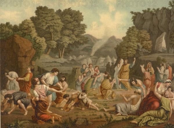 Biblical scene, Bible, collecting manna in the wild, illustration, reproduction from a 19th-century
