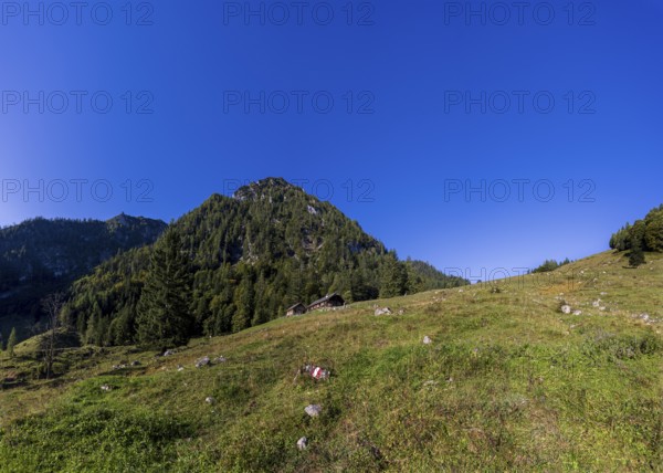 Sonntagskaralm on the way to Rettenkogel, Strobl, Postalm, Osterhorn Group, Salzkammergut, Province