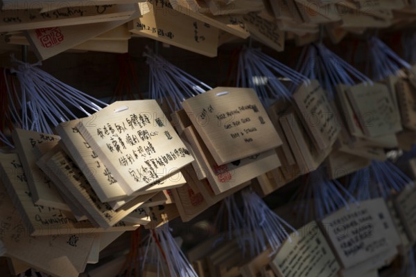 Ema, small wooden tablets with wishes and prayers, hung so that the Kami spirits or gods can