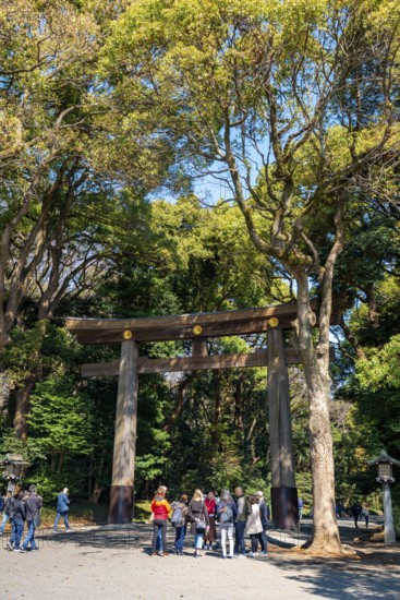 Kitasando Torii Grand Gate, Meiji Jingu Entrance, Meiji Shrine, Shinto Shrine, Yoyogi Park,