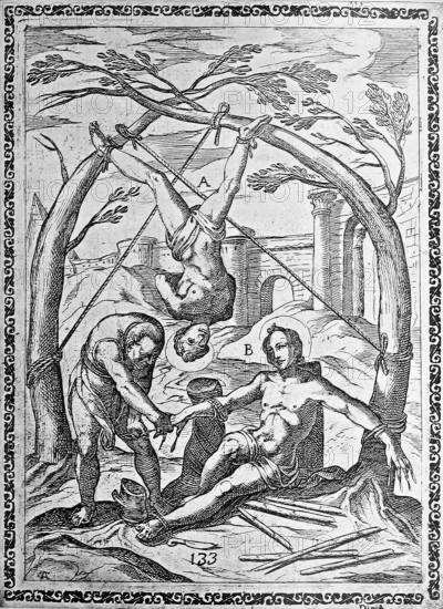 Torture, ordeal, inquisition, a. convict whose legs are tied to two neighboring trees, which have