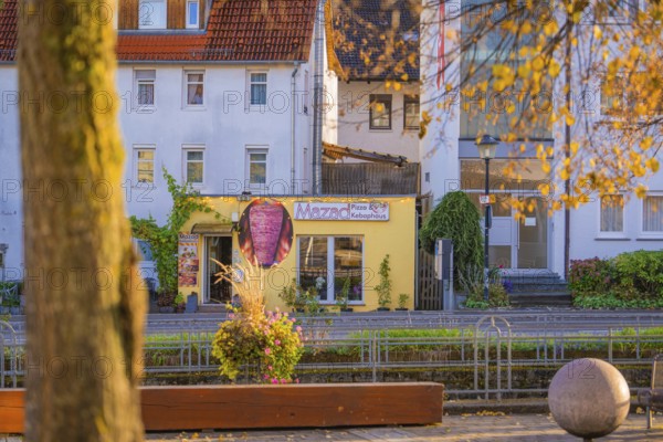 Autumn village street with a pizzeria in the background and tree in the foreground, Aidlingen,