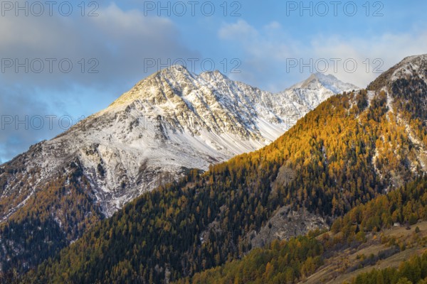 Mixed forest with larch trees (Larix) in autumn, mountain peaks with snow, autumn, Piz Chaste, Piz