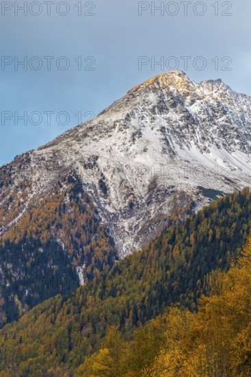 Mixed forest with larch trees (Larix) in autumn, mountain peaks with snow, autumn, Piz Chaste,