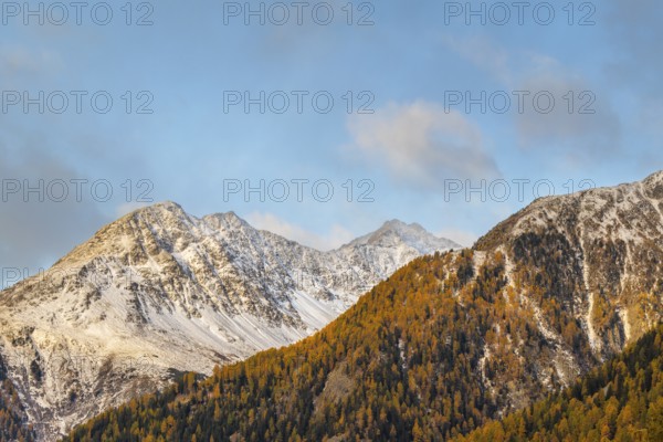 Mixed forest with larch trees (Larix) in autumn, mountain peaks with snow, autumn, Piz Chaste,