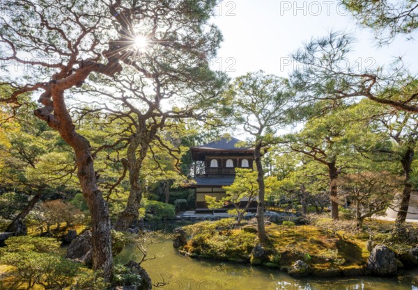 Artfully designed Japanese garden with pond and silver pavilion ginkaku, sun star, jisho-ji or