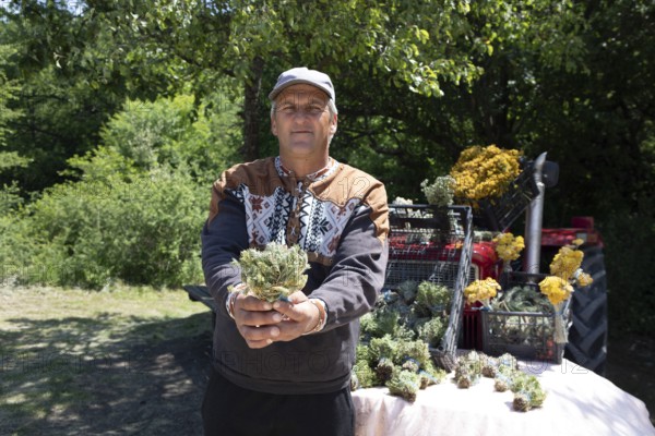 Serbian man, 44 years old, showing Serbian herbs for tea at Lake Vrmdza or natural lake at the foot