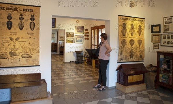 Beekeeping Museum in Sremski Karlovci, Vojvodina Province, Serbia