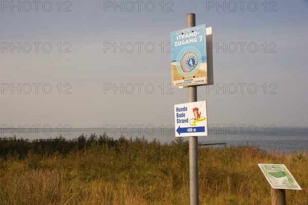 Information boards about the beach and dog beach, Cape Arkona, Wittow Peninsula, Putgarten, Rügen