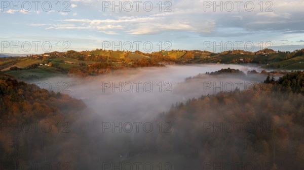 Aerial view, sunrise, typical landscape in autumn with vineyards, South Styrian hills, South