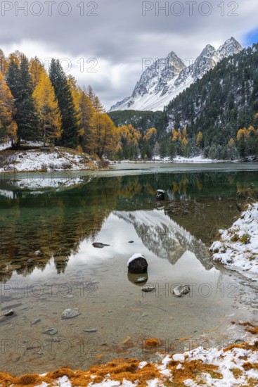Lake Palpougna, mountain lake, Piz da la Plais, Tschimels, mixed forest with larches (Larix) in
