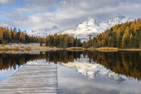 Lake Stazer in front of mountain peaks with snow, mixed forest with larch (Larix) in autumn, wooden