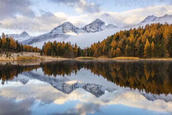 Lake Stazer in front of mountain peaks with snow, mixed forest with larch (Larix) in autumn color,
