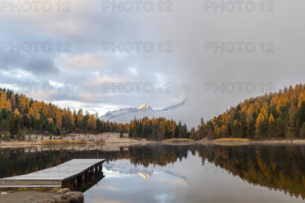 Lake Staz against mountain backdrop, mountain lake, mixed forest with larch (Larix) in autumn,