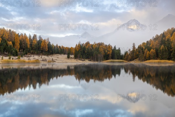 Lake Staz against mountain backdrop, mountain lake, mixed forest with larch (Larix) in autumn