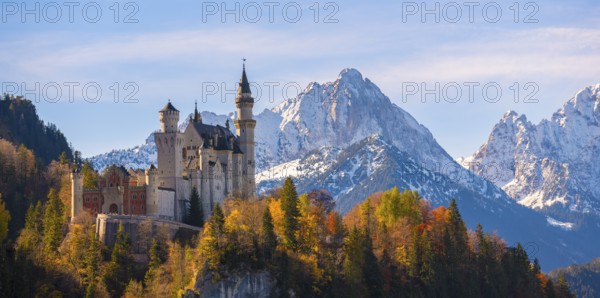 Neuschwanstein Castle is perched on a hill in front of snow-covered mountains, surrounded by