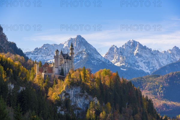 Neuschwanstein Castle towers over autumn trees against a backdrop of the Alps, Schwangau near