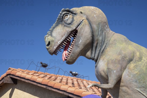 Henderson, Nevada - Dinosaurs dominate the yard of a house in suburban Las Vegas, placed there by