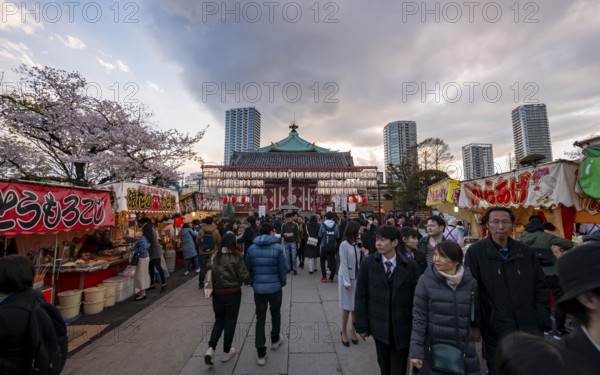 Shinobazunoike Bentendo Temple, food stalls selling Japanese food, cherry blossoms in spring,