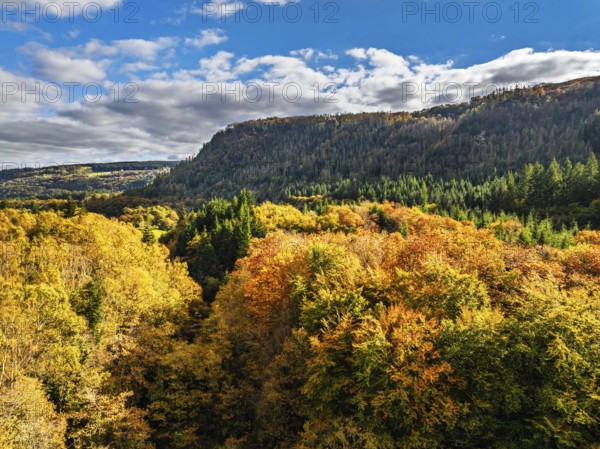 Autumn colours over Gwydir Forest Park from a drone, Afon Lledr, Road A470, Snowdonia, Eryri,