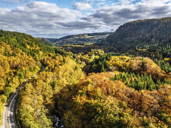 DeAutumn colours over Gwydir Forest Park from a drone, Afon Lledr, Road A470, Snowdonia, Eryri,