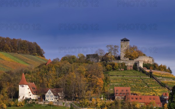 Hohenbeilstein Castle, Freizeitheim Magdalenenkirche, vineyards, Beilstein, Bottwartal,