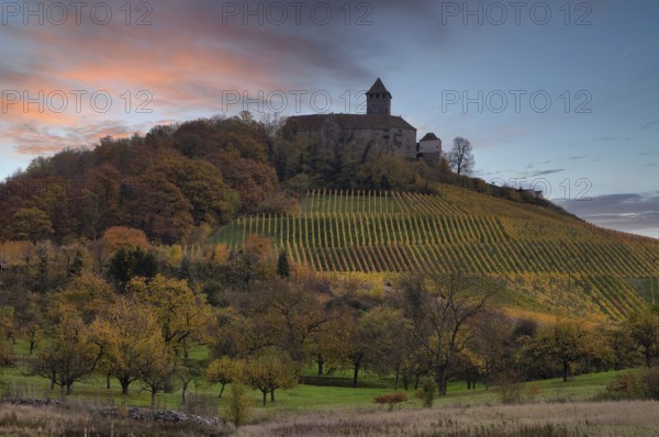 Lichtenberg Castle, Oberstenfeld, Bottwartal, Löwensteiner Mountains, vineyard, vines, viticulture,