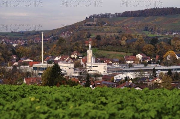Company MAP loading equipment, pallets, Oberstenfeld, behind Hohenbeilstein Castle, vineyards,