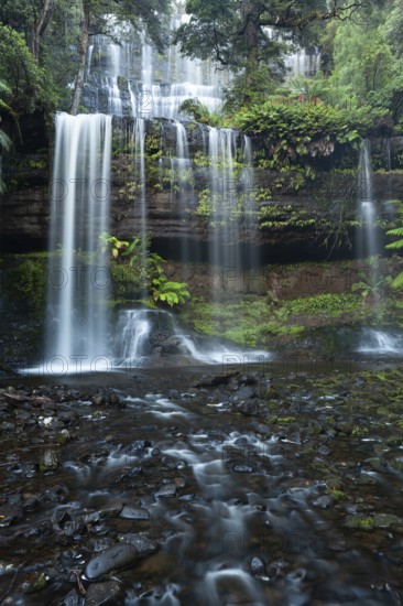 Russell Falls. Australia's most beautiful waterfall in the green Tasmanian forest, between ferns