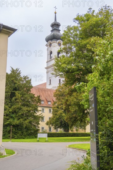 Baroque church tower behind trees and building complex in a green landscape, ZFP Zwiefalten,