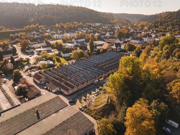 City view with hills and autumn trees, residential areas in the foreground, Nagold, Black Forest,