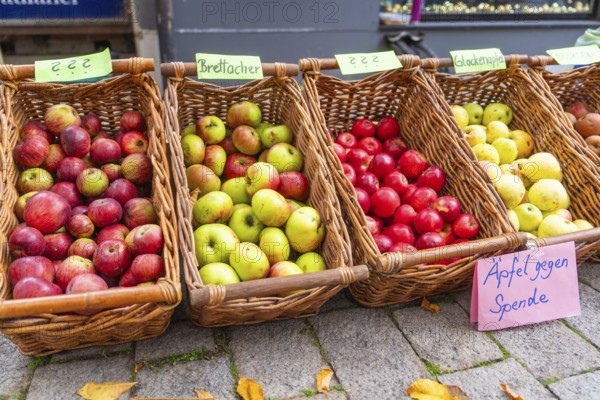 Apples in different colors in wicker baskets offered for donations at a street market,