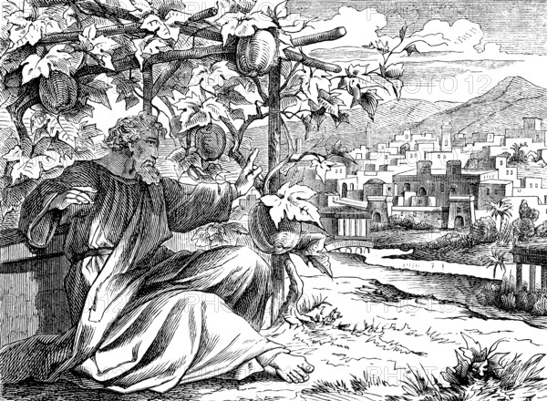 Jonah in front of his pumpkin hut at Nineveh, The Prophet Jonah, chapter 3, cityscape, mountains,