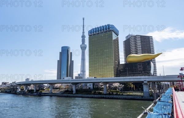 View of the Sumida River from Azuma Bridge, Sumida City Skyline, Sumida City Office, Tokyo Skytree,