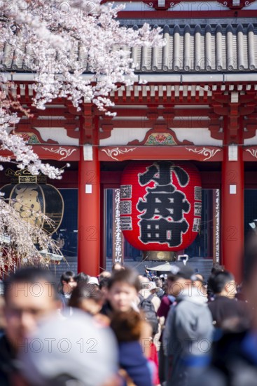 View of numerous visitors on Nakamise-dori shopping street with Hozomon Gate of Asakusa Shrine or