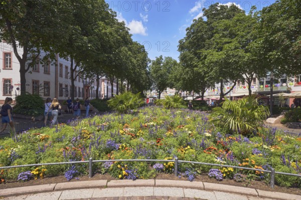 Garden area, flower bed, trees, general architecture, pedestrians as a secondary motif, blue sky,