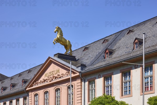 Mainz State Museum, Museum of Cultural History, Art Museum, Marstall, Historic Building, Baroque