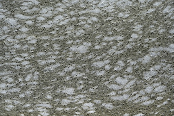 Structure of pollution in the port of Ahrenshoop, Darß, Baltic Sea, Mecklenburg-Western Pomerania,