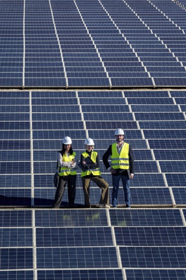 Engineers team on expansive solar farm inspecting panels and planning clean energy projects,