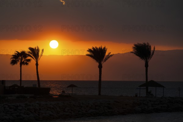 Atmospheric sunset view with four palm trees of Aqaba Jordanian shore east coast from across Red