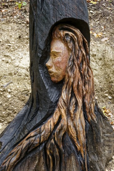 Wooden sculpture The Face of Urschel, Pfullinger Sagenweg, stories and legends, by woodsaw artist